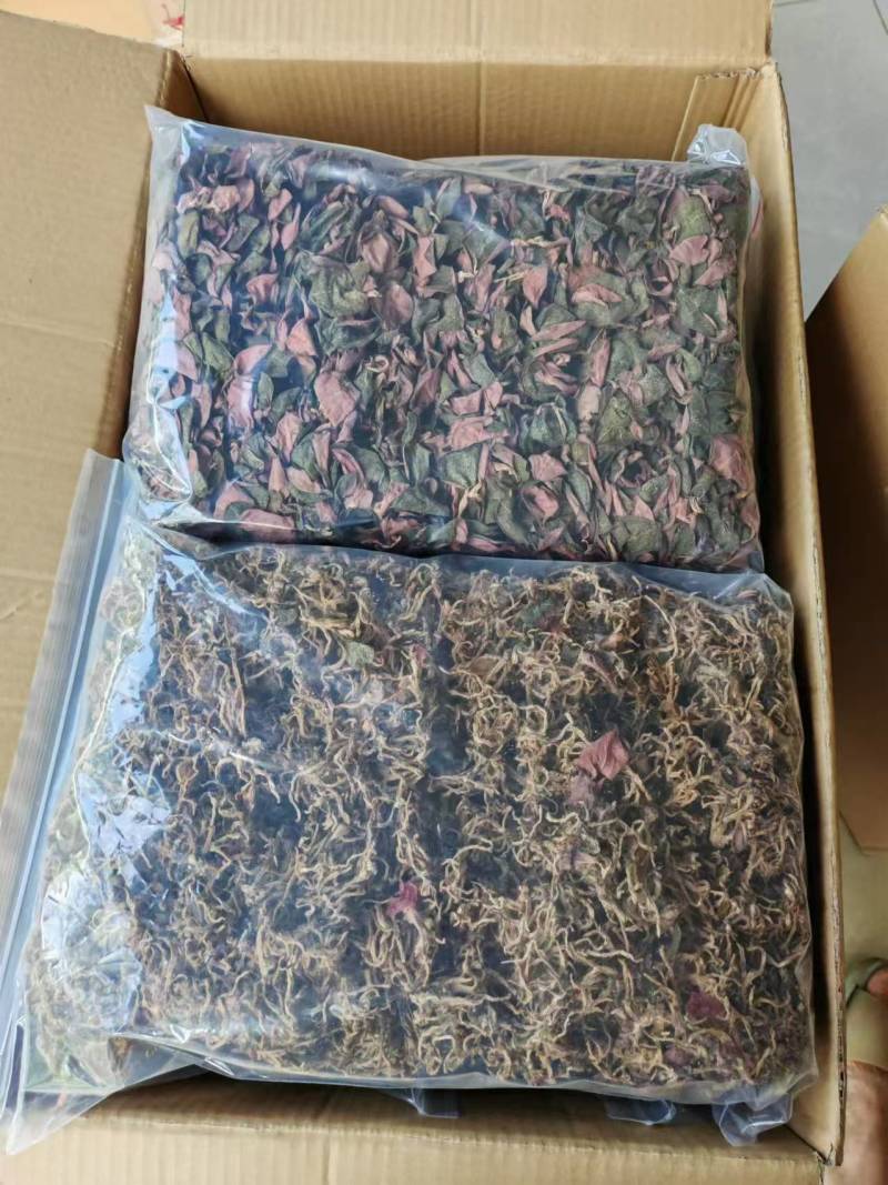 福建南靖正宗金线莲台湾红霞干品整株精品红霞煲汤煮水批发