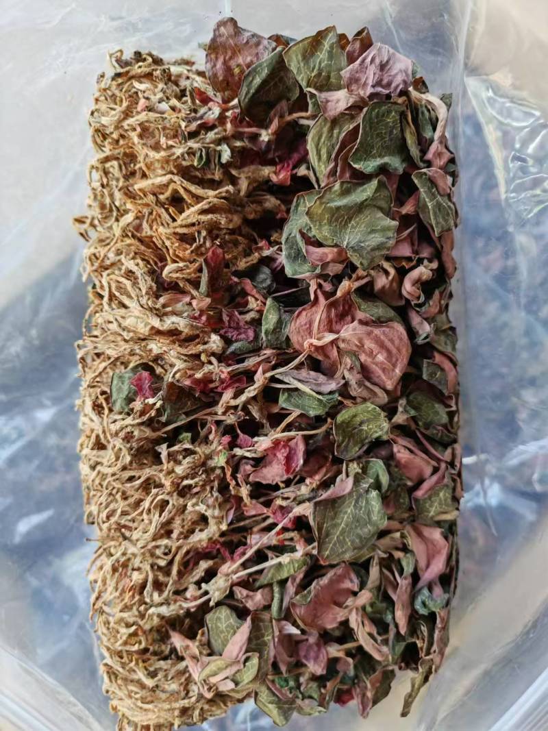 福建南靖正宗金线莲台湾红霞干品整株精品红霞煲汤煮水批发
