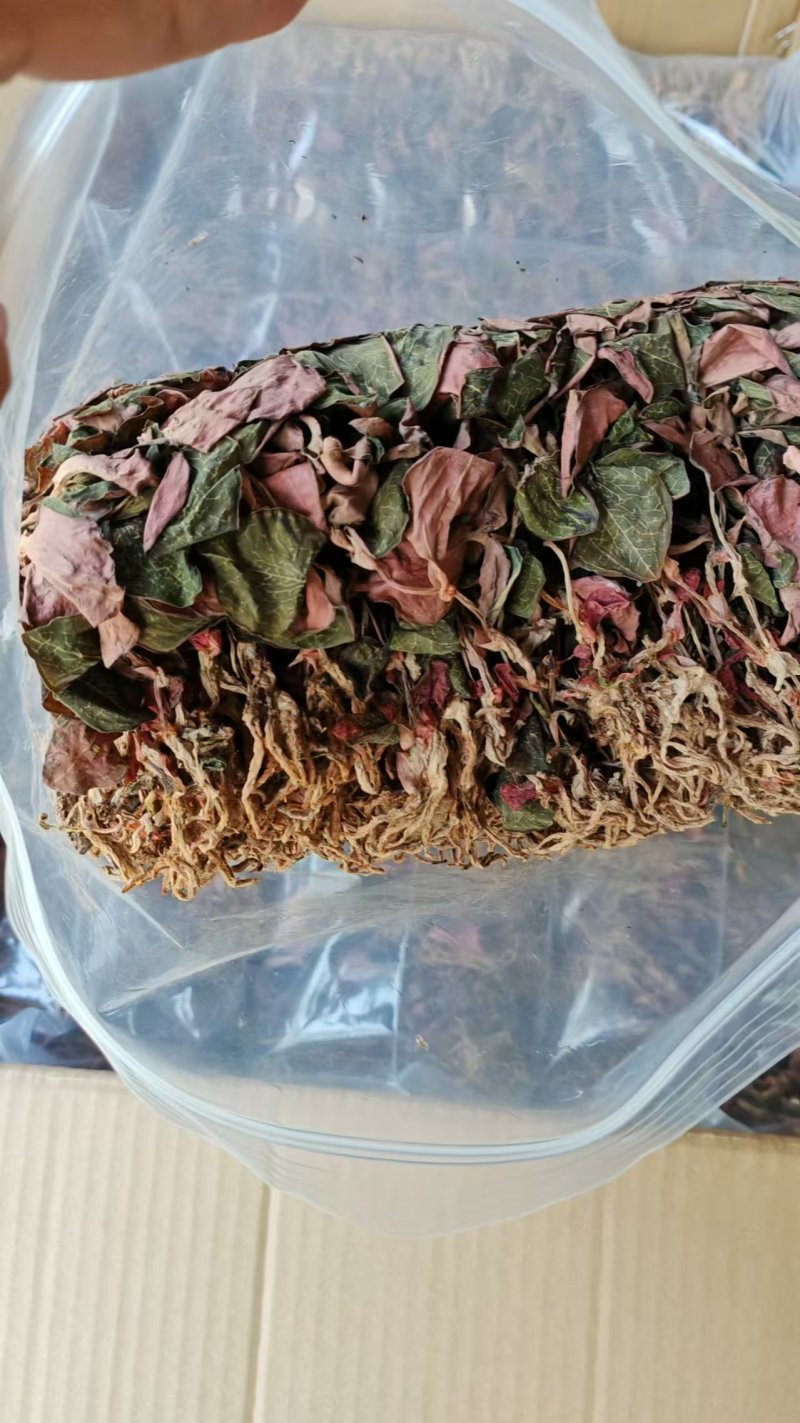福建南靖正宗金线莲台湾红霞干品整株精品红霞煲汤煮水批发