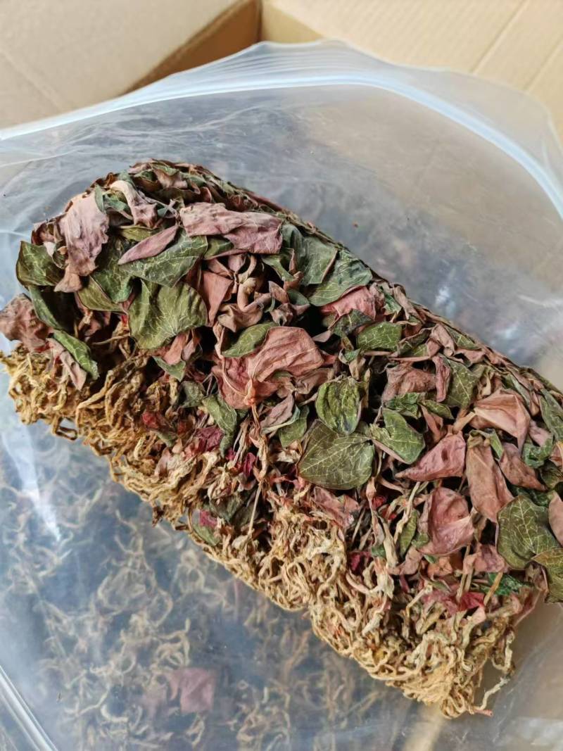 福建南靖正宗金线莲台湾红霞干品整株精品红霞煲汤煮水批发