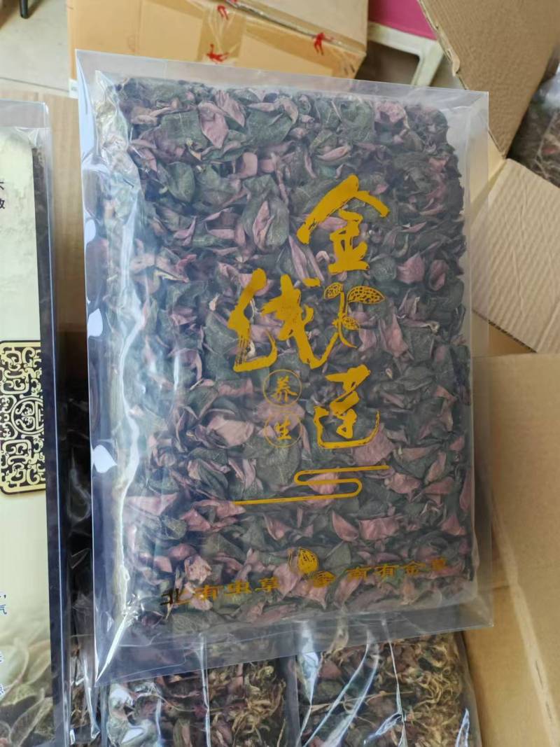 福建南靖正宗金线莲台湾红霞干品整株精品红霞煲汤煮水批发
