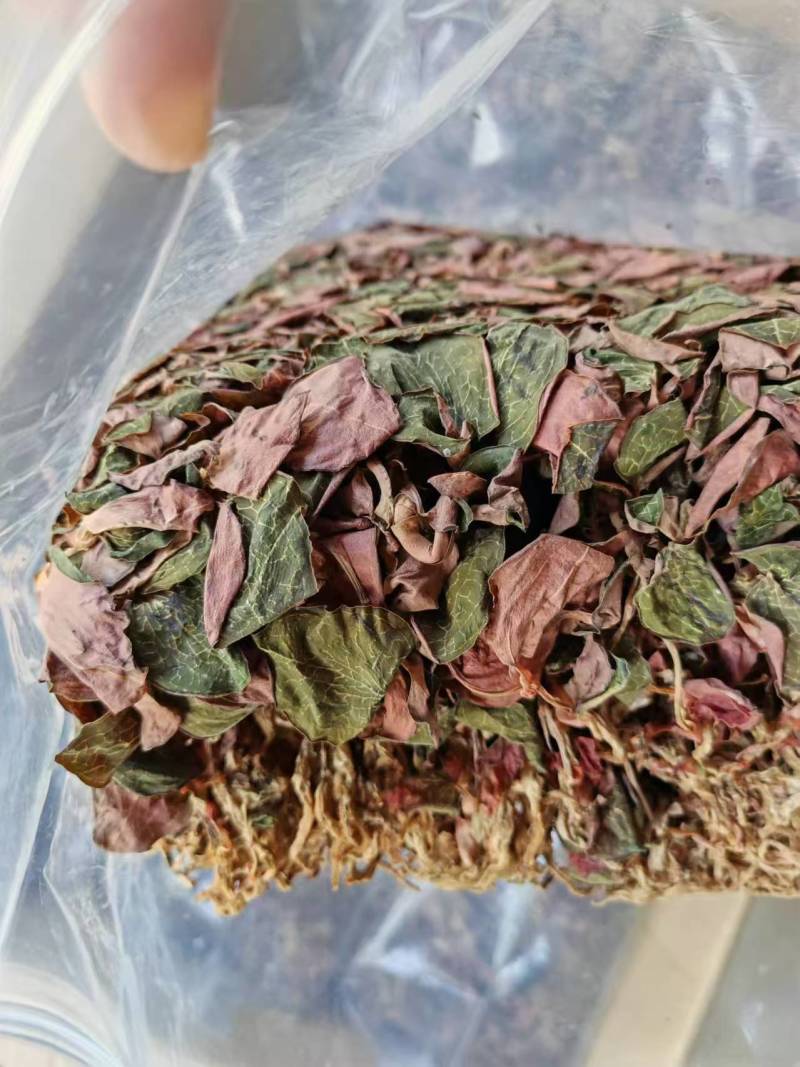 福建南靖正宗金线莲台湾红霞干品整株精品红霞煲汤煮水批发