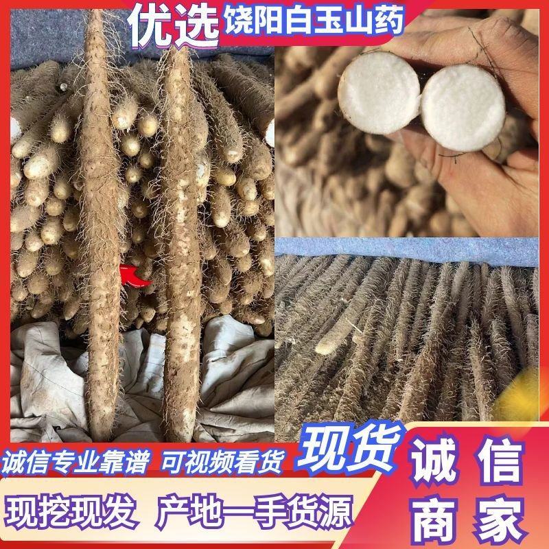 白玉山药河北山药规格齐全优质山药对接全国商超市场