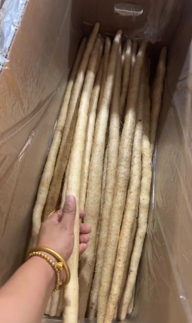河北优质山药小白嘴白山药产地一手货源大货二路三路