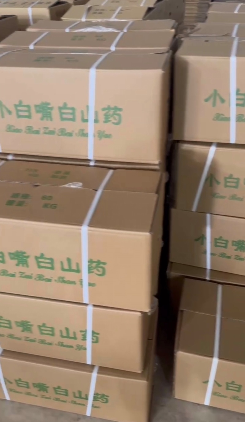 河北优质山药小白嘴白山药产地一手货源大货二路三路