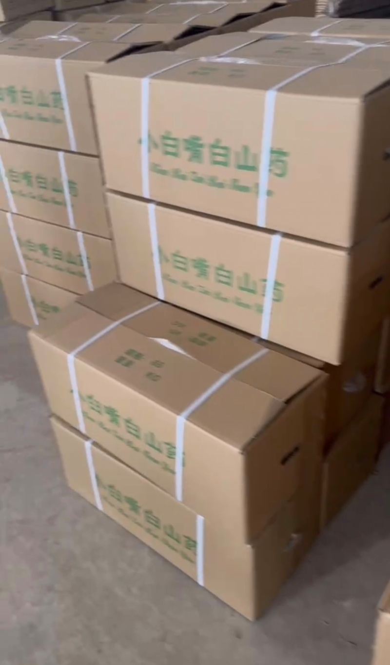 河北优质山药小白嘴白山药产地一手货源大货二路三路