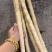 河北优质山药小白嘴白山药产地一手货源大货二路三路