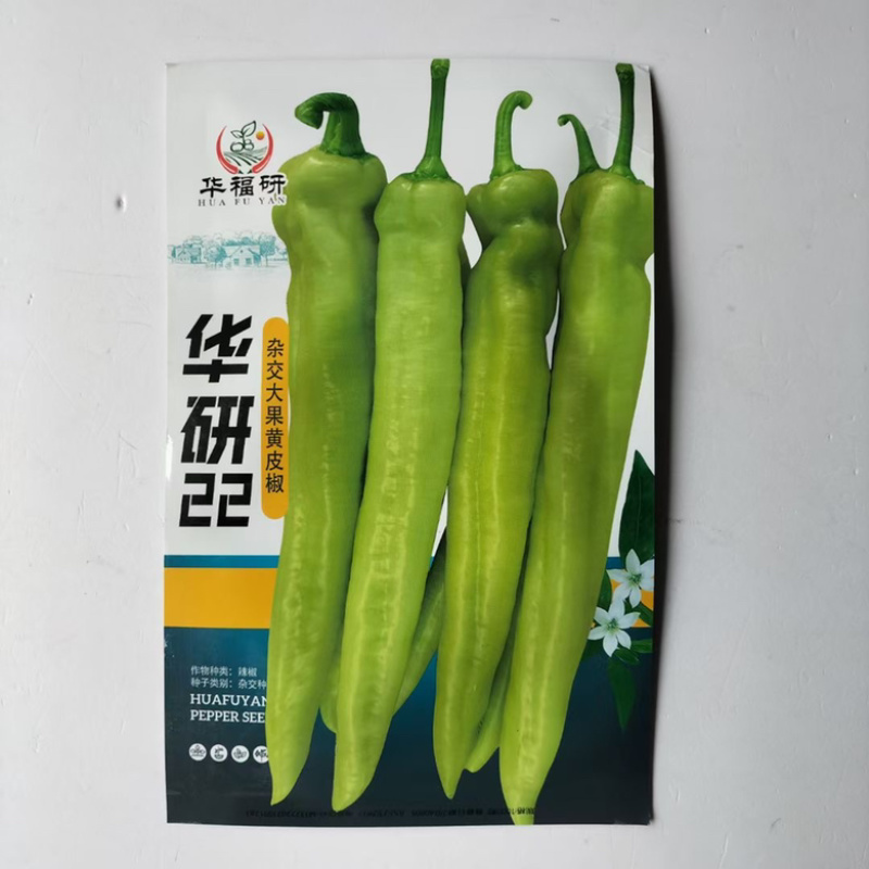 华研22号牛角椒种子黄绿皮香辣品种，种子