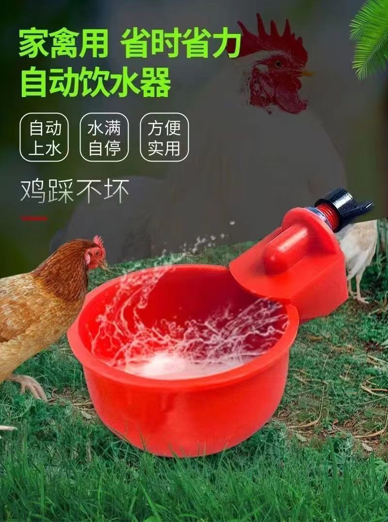 家禽自动下料喂食饮水设备