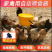 家禽自动下料喂食饮水设备