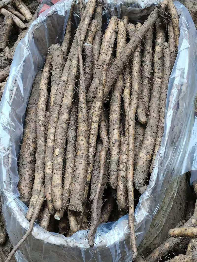 河北铁棍山药小铁棍紫山药二三级货袋装品质保证新鲜现货
