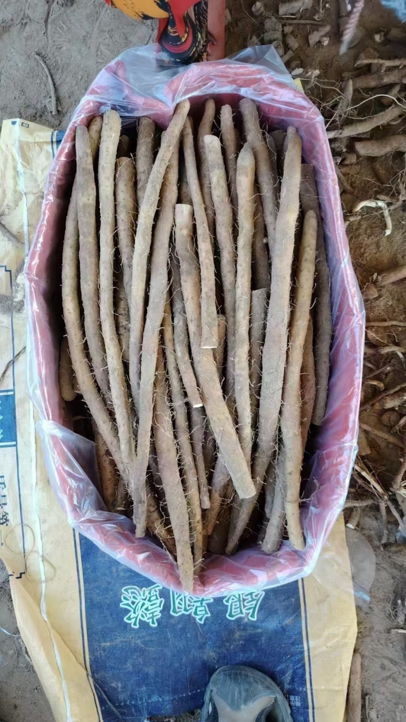 河北铁棍山药小铁棍紫山药二三级货袋装品质保证新鲜现货