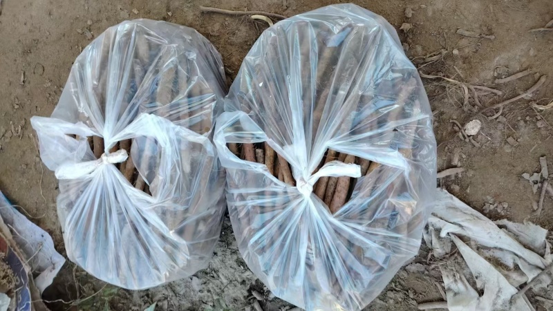 河北铁棍山药小铁棍紫山药二三级货袋装品质保证新鲜现货