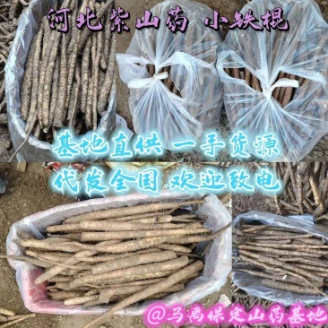 河北铁棍山药小铁棍紫山药二三级货袋装品质保证新鲜现货