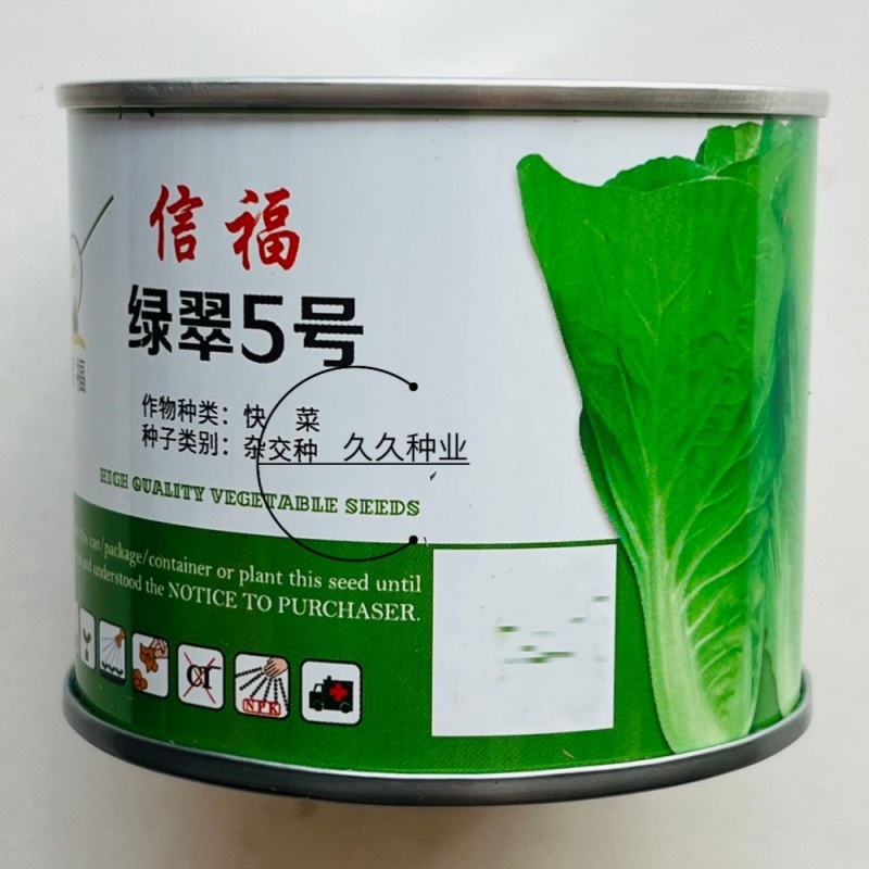 信福绿翠5号快菜种子耐热耐湿直立抗病耐雨黄心半包