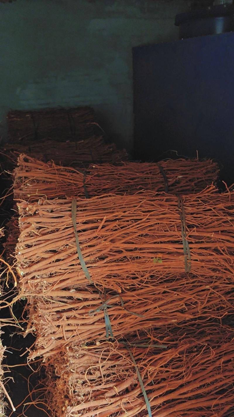 小叶红皮千斤拔大量长期供货，品质保证，价格实惠