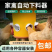 养殖用具自动下料喂食饮水设备适用各种规格的桶安装鸡食槽