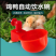 养殖用具自动下料喂食饮水设备适用各种规格的桶安装鸡食槽