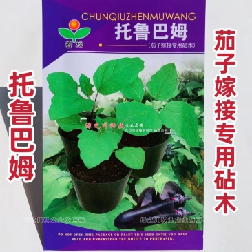 茄子嫁接专用砧木种子托鲁巴姆茄种籽野生茄抗病圆茄长茄钻木