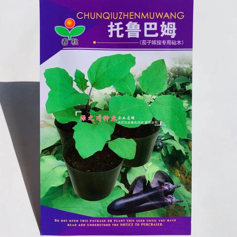 茄子嫁接专用砧木种子托鲁巴姆茄种籽野生茄抗病圆茄长茄钻木