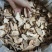 广东土茯苓+纯无硫磺土茯苓+甜土茯苓片