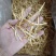 足干纯无硫磺宁夏黄花菜