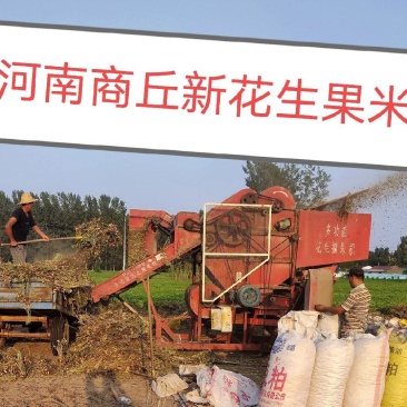 2024新花生果花生米全系列