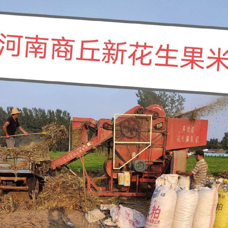 2024新花生果花生米全系列