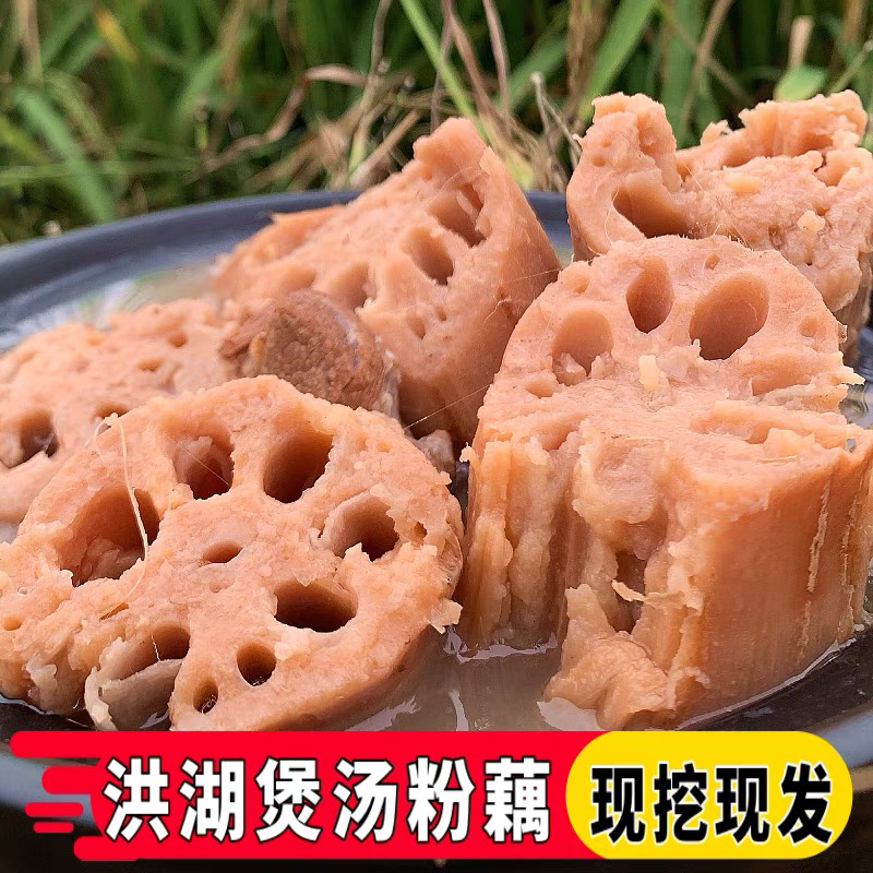 洪湖莲藕洪湖煲汤粉藕一件代发可供日发2万票