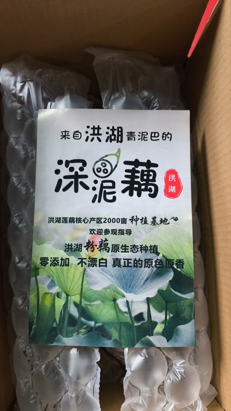 洪湖莲藕洪湖煲汤粉藕一件代发可供日发2万票