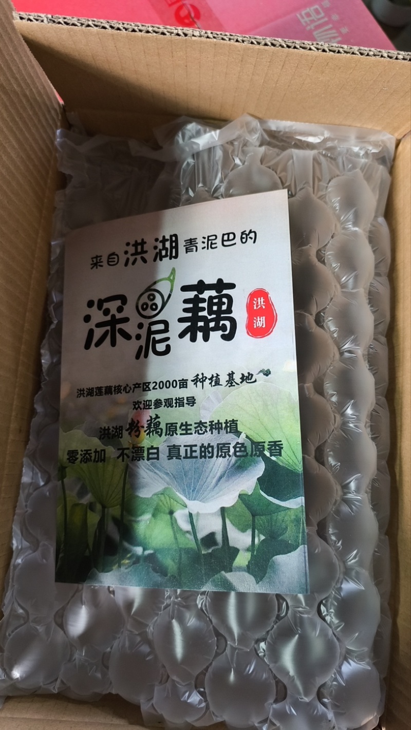 洪湖莲藕洪湖煲汤粉藕一件代发可供日发2万票