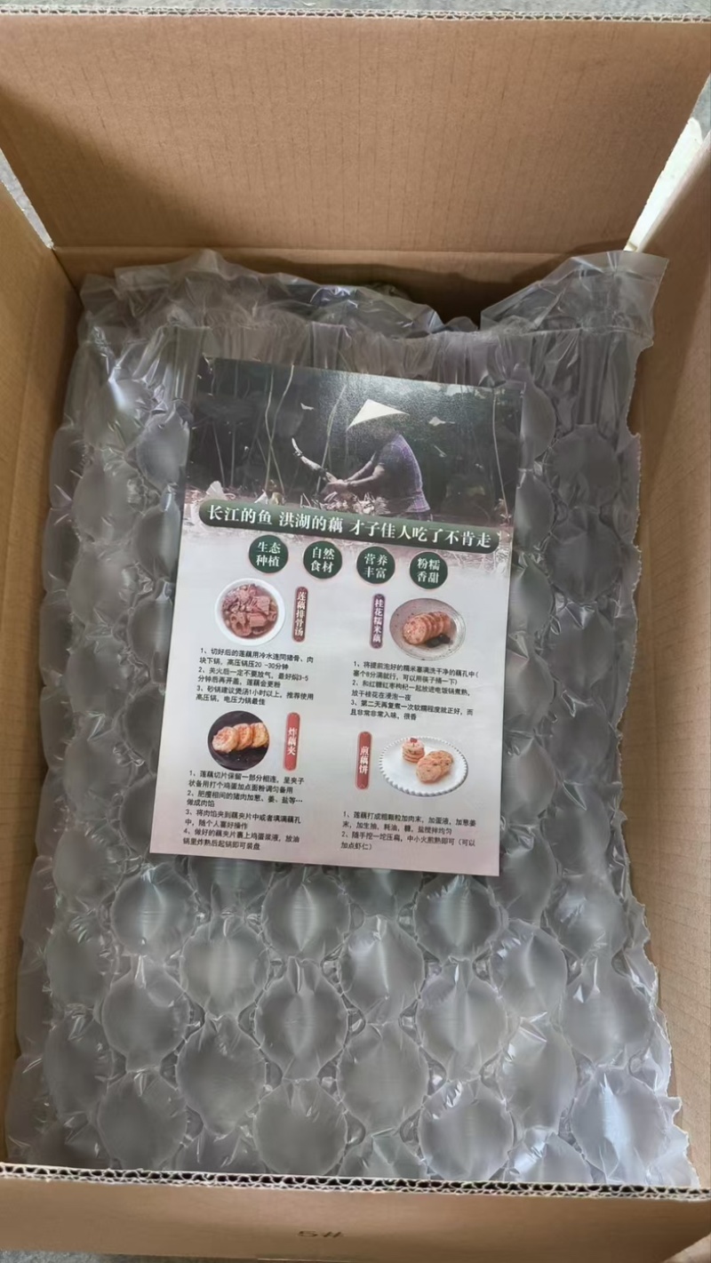 洪湖莲藕洪湖煲汤粉藕一件代发可供日发2万票