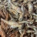 鱼干即食鱼干地摊电商批发香酥小河鱼干有盐油炸鱼干鱼