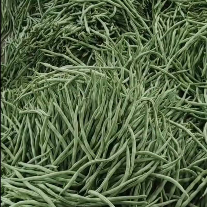 无筋豆小金豆四季豆扁豆白圆豆场地直发，品质保证欢迎致电