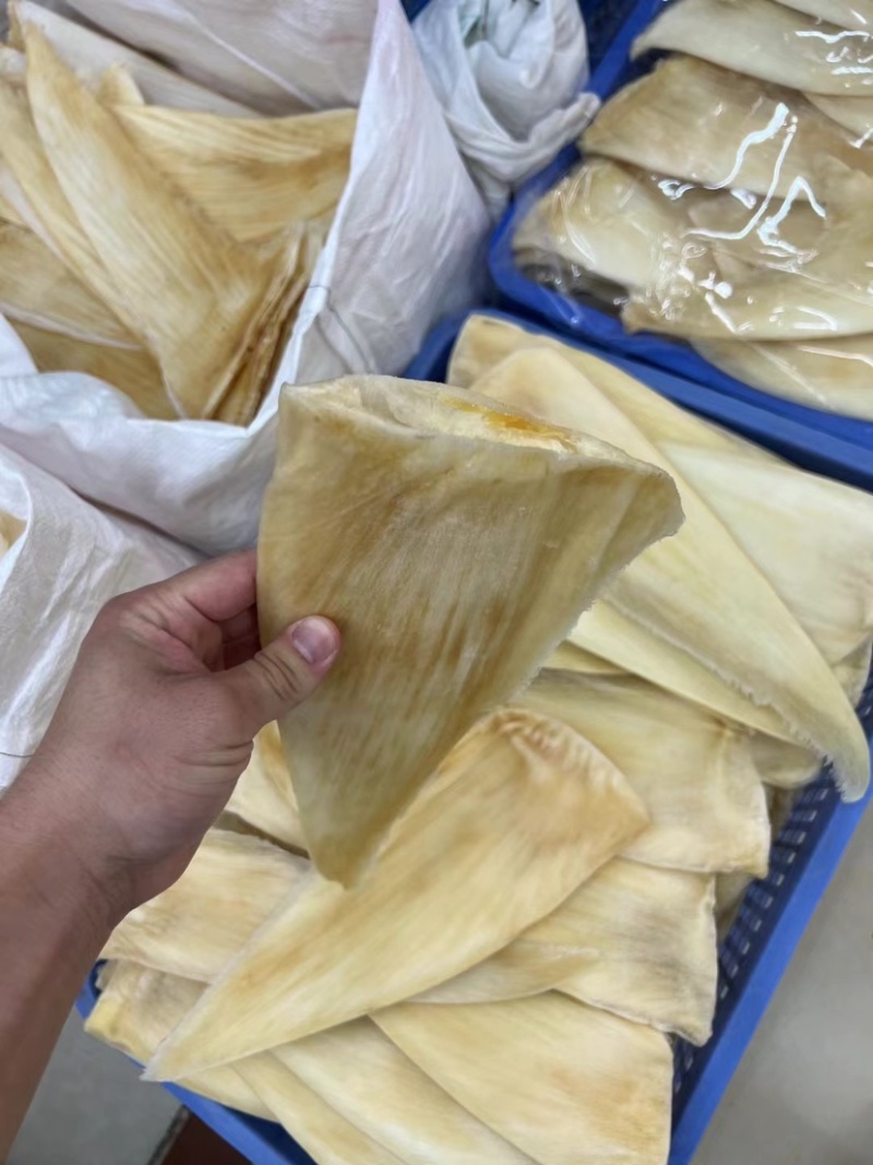 鱼翅茶勾翅金勾翅翅针多粗酒店酒楼私厨专用鱼翅