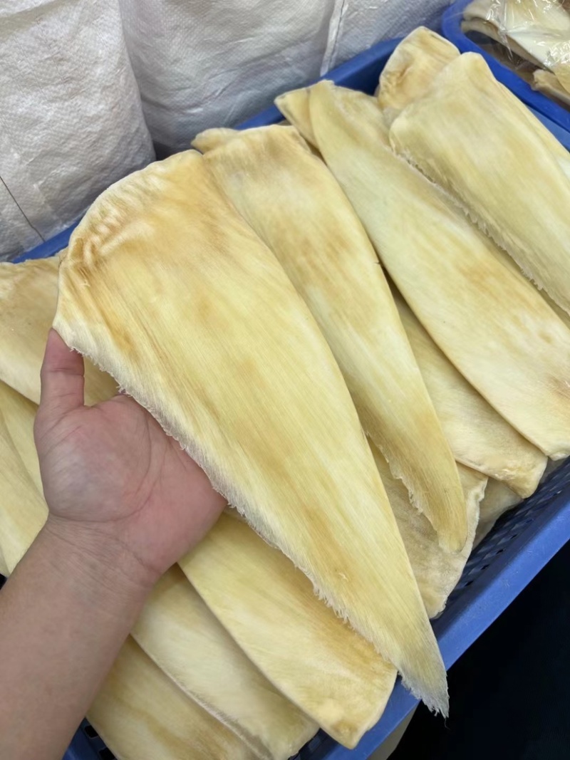 鱼翅茶勾翅金勾翅翅针多粗酒店酒楼私厨专用鱼翅