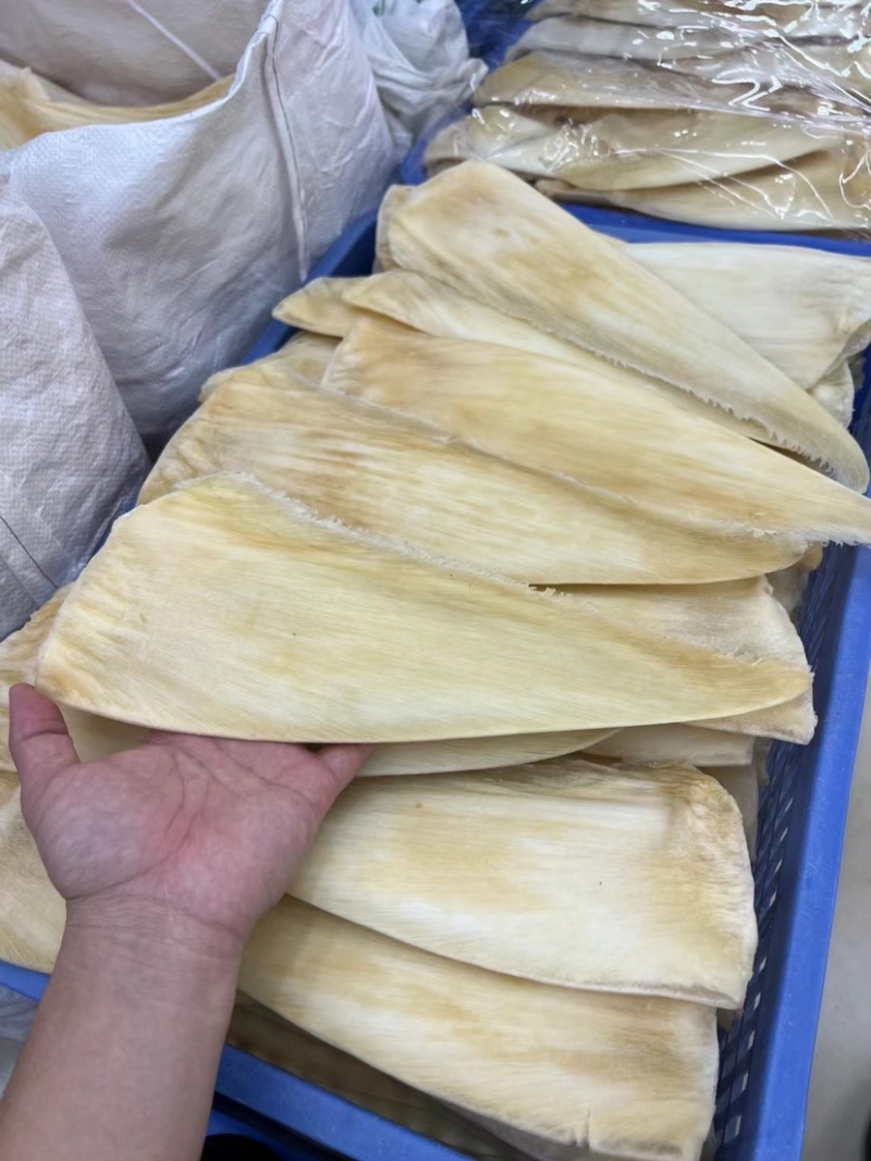 鱼翅茶勾翅金勾翅翅针多粗酒店酒楼私厨专用鱼翅