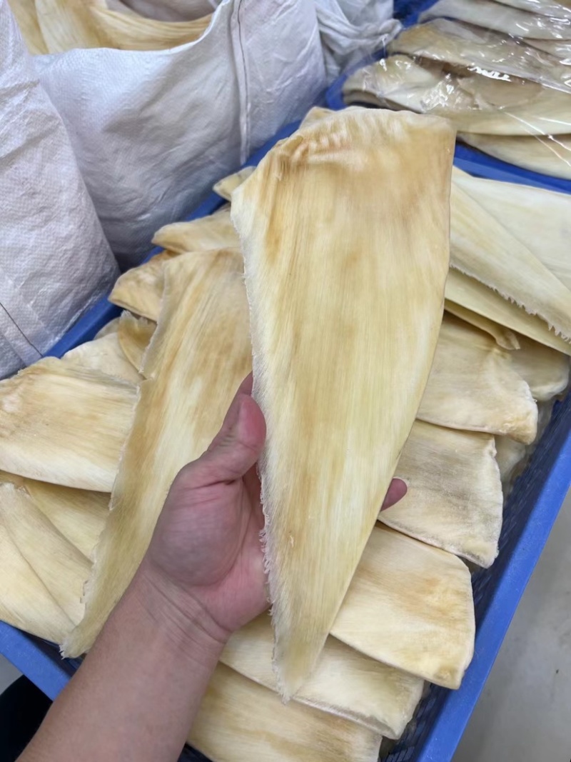 鱼翅茶勾翅金勾翅翅针多粗酒店酒楼私厨专用鱼翅