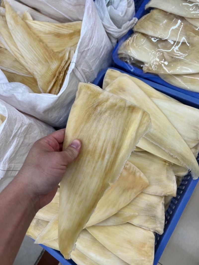鱼翅茶勾翅金勾翅翅针多粗酒店酒楼私厨专用鱼翅