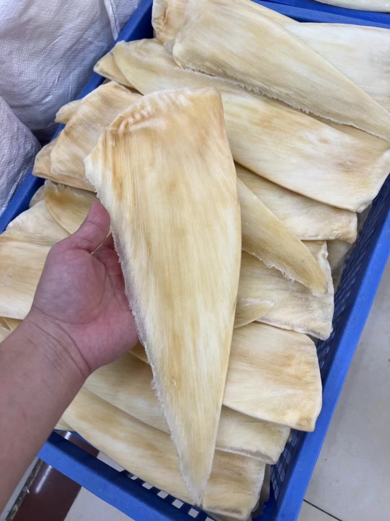 鱼翅茶勾翅金勾翅翅针多粗酒店酒楼私厨专用鱼翅