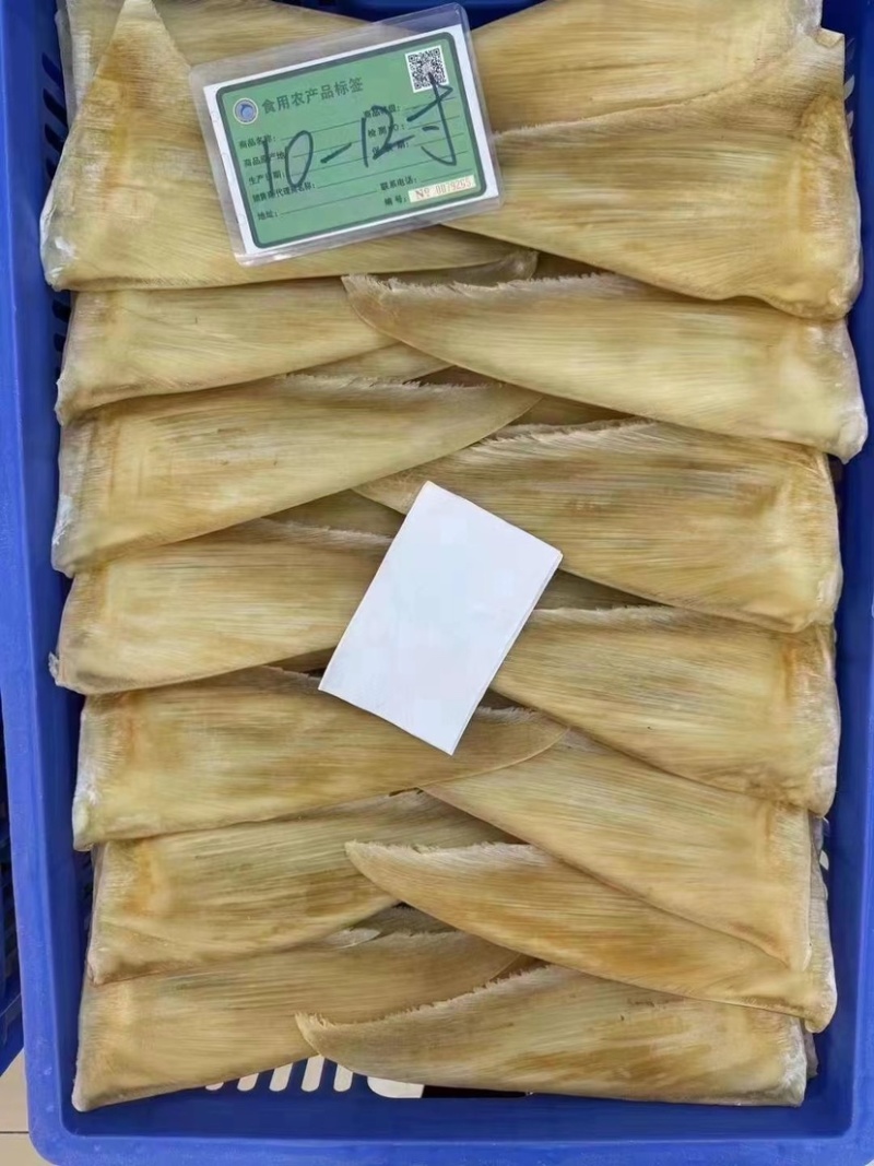 鱼翅茶勾翅金勾翅翅针多粗酒店酒楼私厨专用鱼翅