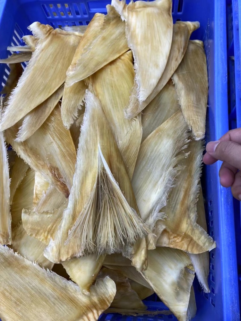 鱼翅茶勾翅金勾翅翅针多粗酒店酒楼私厨专用鱼翅