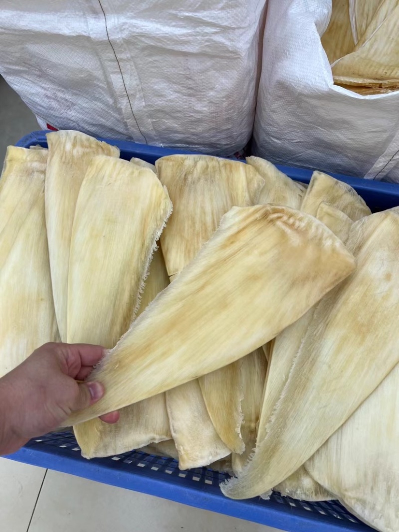 鱼翅茶勾翅金勾翅翅针多粗酒店酒楼私厨专用鱼翅