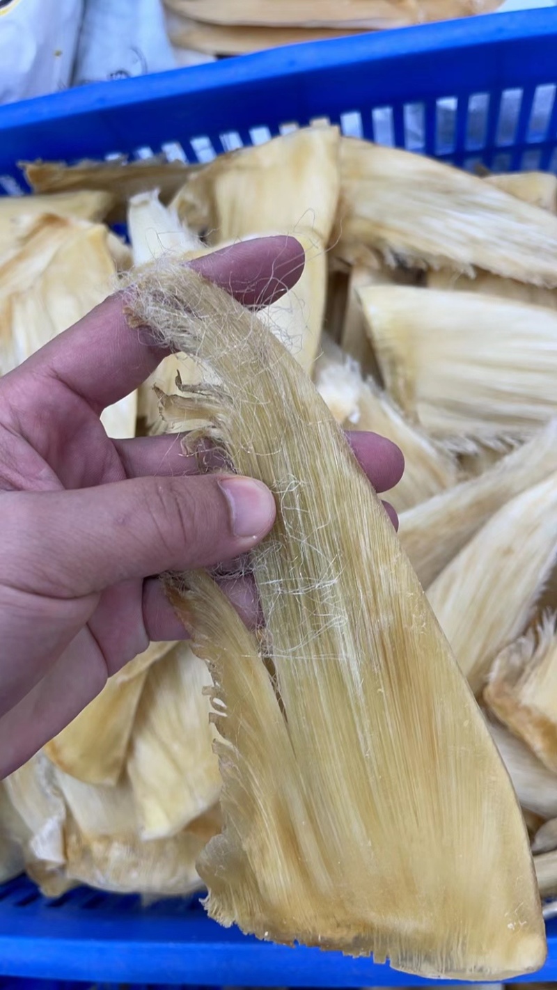 鱼翅茶勾翅金勾翅翅针多粗酒店酒楼私厨专用鱼翅