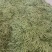 无筋豆小金豆四季豆扁豆白圆豆场地直发，品质保证欢迎致电