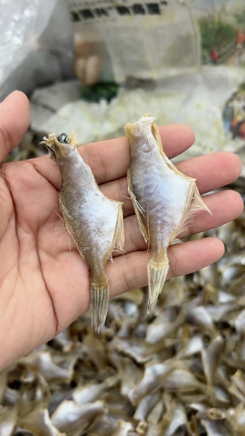 剥皮鱼干地摊电商批发羊仔迪仔剥皮鱼干干鱼
