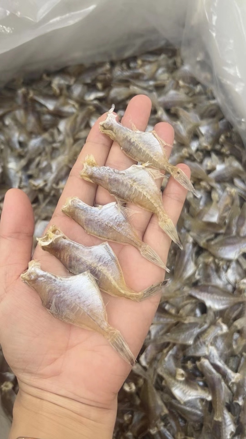 剥皮鱼干地摊电商批发羊仔迪仔剥皮鱼干干鱼