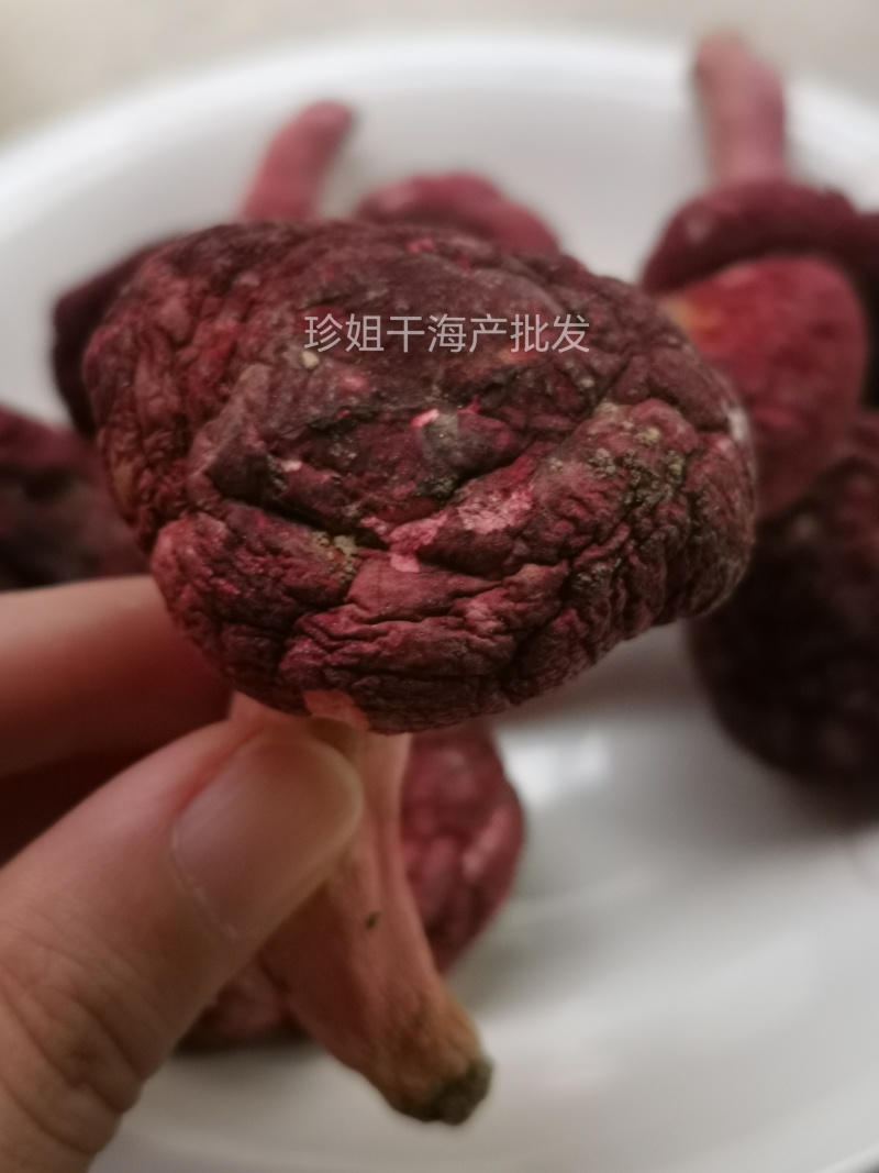 福建特级优质红菇，野生干货，煲汤食材