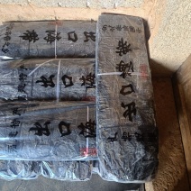 福建90剪头去尾海带，厂家直销批发，一手拿货