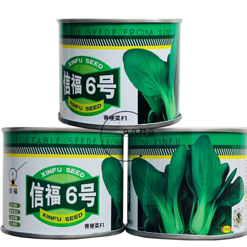 信福6号青梗菜种子油菜小青菜上海青菜籽夏季耐热农专用